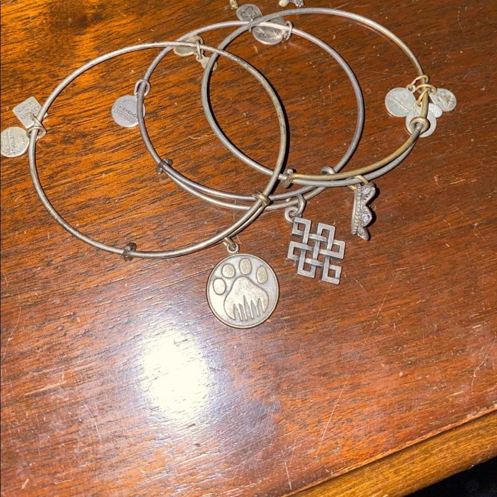 Alex an ani brackets